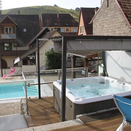 Les 2-4 Pers Remy Herold Apartment Katzenthal