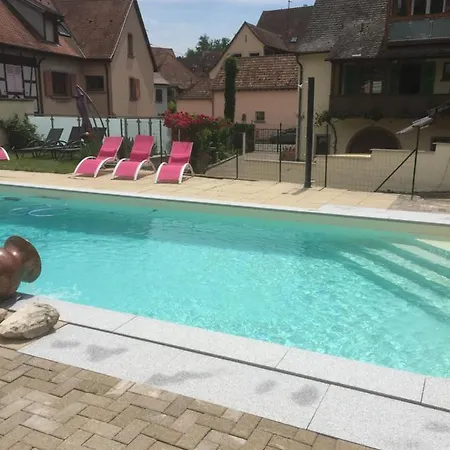 Les 2-4 Pers Remy Herold Apartment Katzenthal