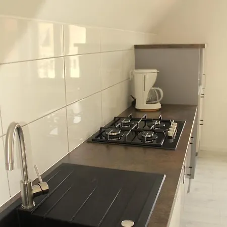 Apartment Les 2-4 Pers Remy Herold Katzenthal